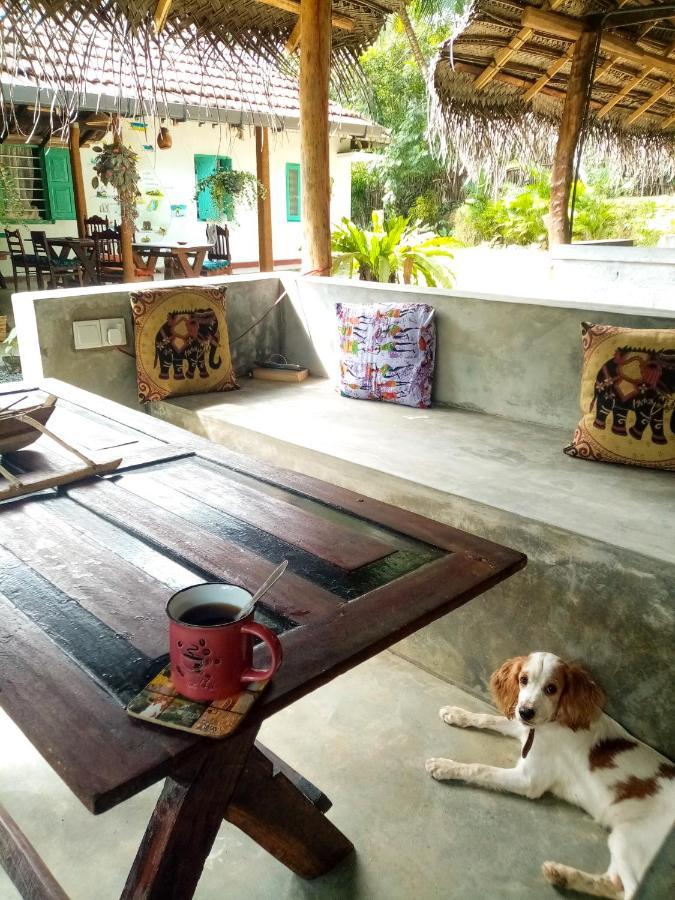 Auberge de jeunesse Lazy Monkey Sri Lanka à Dikwella Extérieur photo