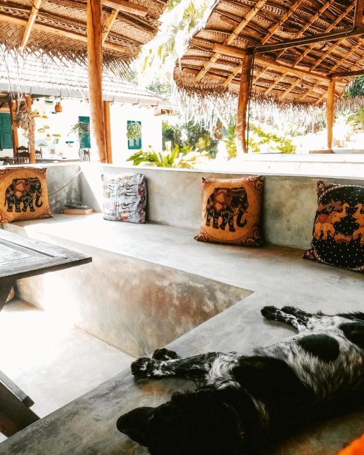 Auberge de jeunesse Lazy Monkey Sri Lanka à Dikwella Extérieur photo
