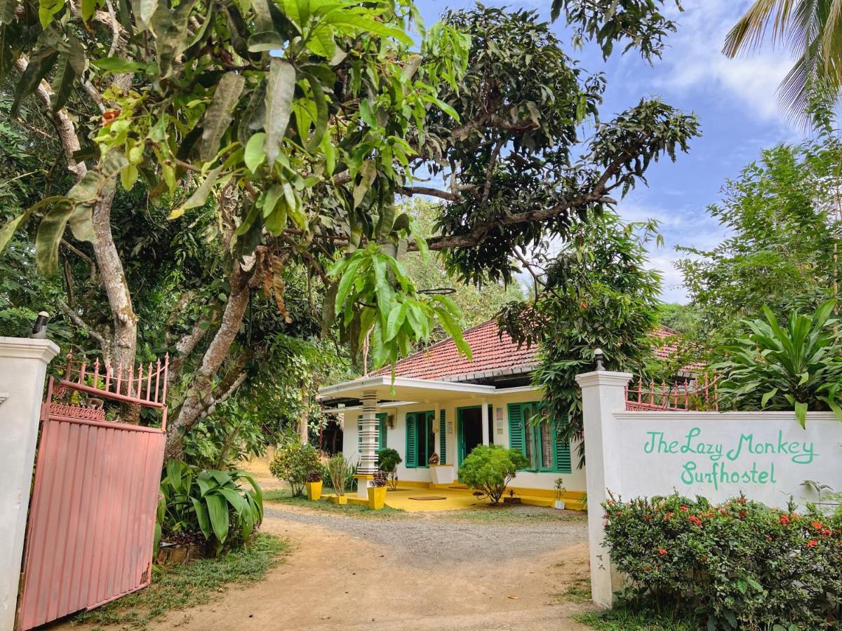Auberge de jeunesse Lazy Monkey Sri Lanka à Dikwella Extérieur photo